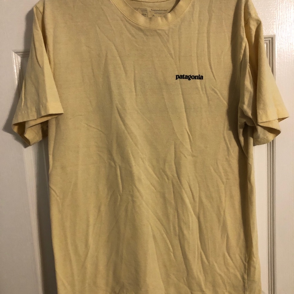 Patagonia t-shirt